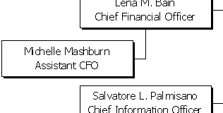 SHS Corporate Structure