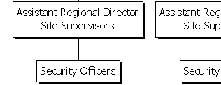 SHS Corporate Structure
