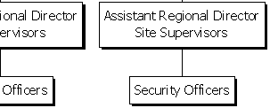 SHS Corporate Structure